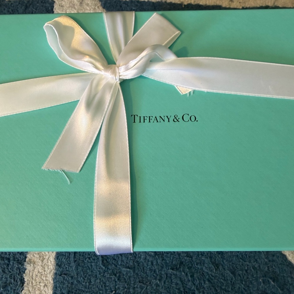Tiffany & Co. baby Piggy bank Egg Blue Gift Box with White Ribbon